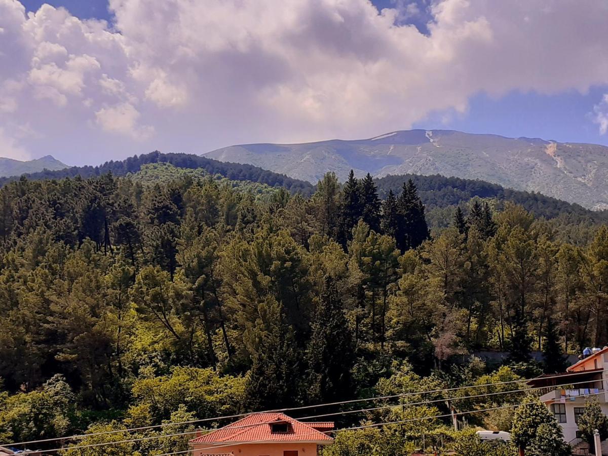 Drini Apartments Përmet Dış mekan fotoğraf